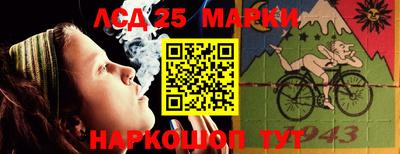 гашик Новозыбков