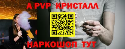 гашик Новозыбков