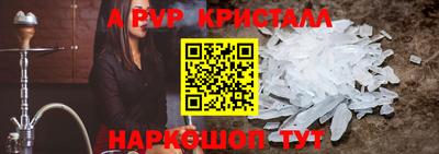 гашик Новозыбков