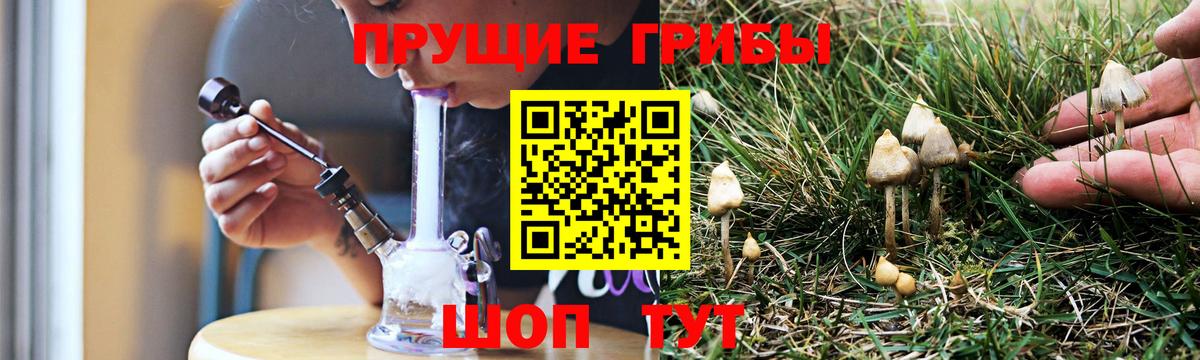 Псилоцибиновые грибы Cubensis  цена   Красноармейск  Вход с VPN 